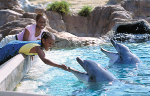 Girls-Feeding-Dolphins